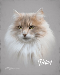 white cat digital portrait