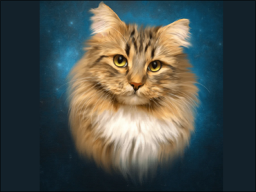 Why Should You Choose Digital Cat Portraits