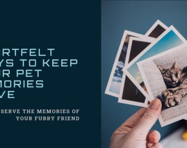 Heartfelt Ways to Keep Your Pet Memories Alive