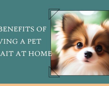 The Benefits Of Having A Pet Portrait At Home